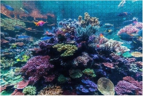 Amazing vibrant coral reef aquarium with 500 Piece Jigsaw Puzzle Game - Colorful Large Puzzles Artwork for Adults Teens Puzzle Game Toy Gift