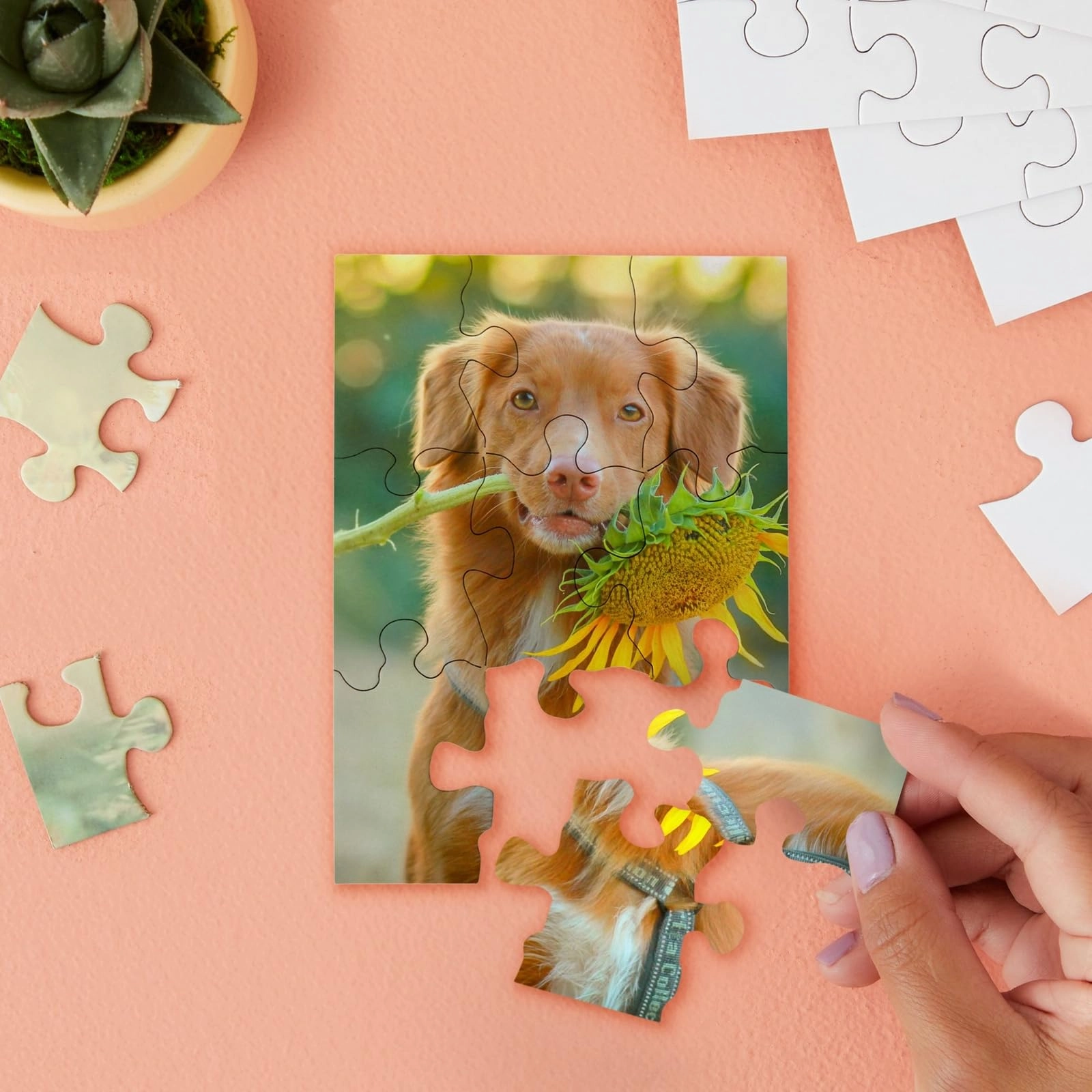 Bright Creations 24 Sheets Blank Puzzles to Draw On Bulk, 5.5 x 4 Inch Jigsaw Puzzle Pieces for DIY, Arts and Crafts Projects