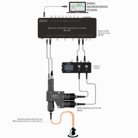 Bundle-imaging Fiber Photometry System
