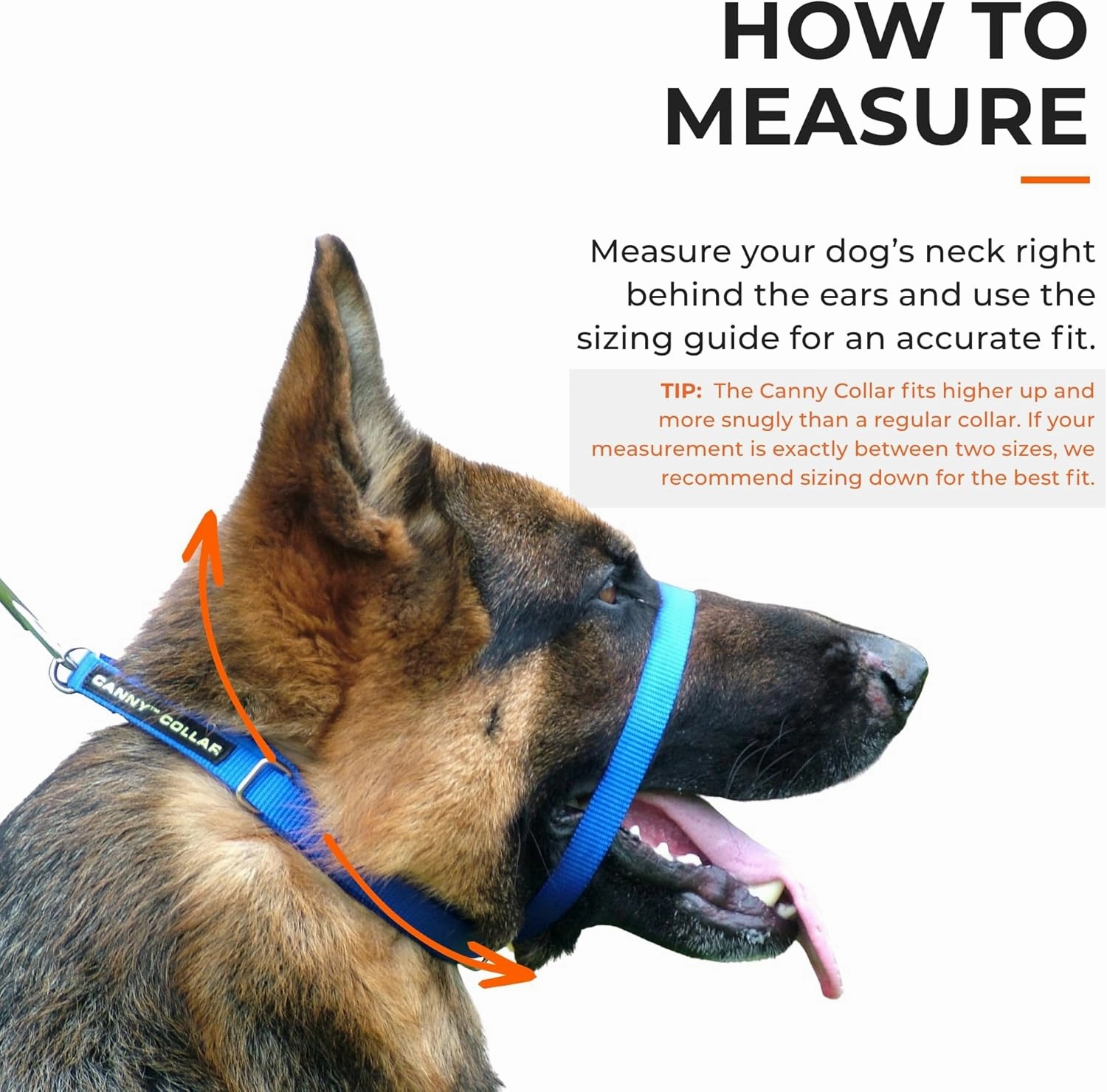 Canny Collar No-Pull Dog Head Collar – Gentle Dog Training Collar for Leash Pulling – Stops Pulling, Easy Control for Walking Large & Small Dogs – Comfortable & Humane Design