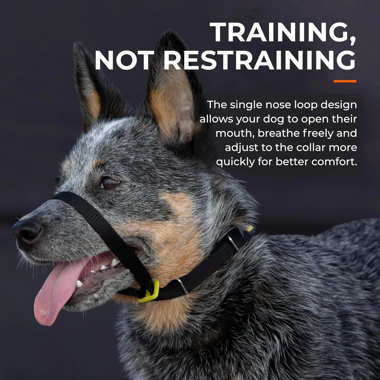 Canny Collar No-Pull Dog Head Collar – Gentle Dog Training Collar for Leash Pulling – Stops Pulling, Easy Control for Walking Large & Small Dogs – Comfortable & Humane Design