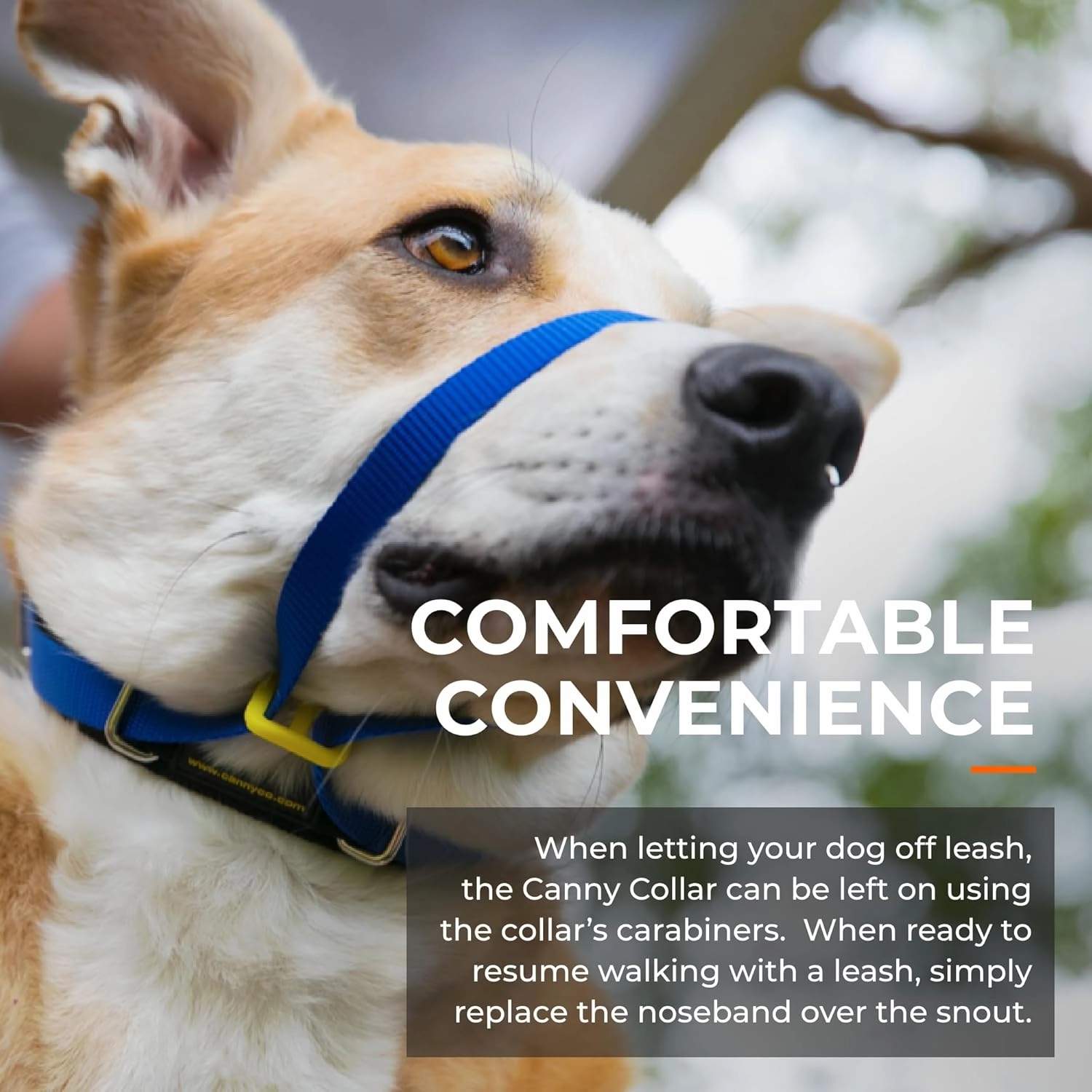 Canny Collar No-Pull Dog Head Collar – Gentle Dog Training Collar for Leash Pulling – Stops Pulling, Easy Control for Walking Large & Small Dogs – Comfortable & Humane Design