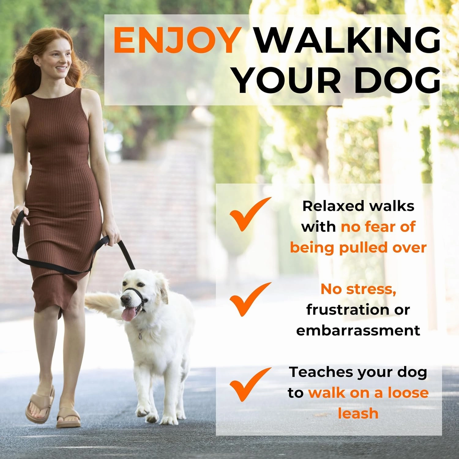 Canny Collar No-Pull Dog Head Collar – Gentle Dog Training Collar for Leash Pulling – Stops Pulling, Easy Control for Walking Large & Small Dogs – Comfortable & Humane Design