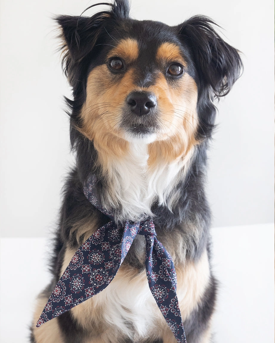 CLASSIC NECKTIE