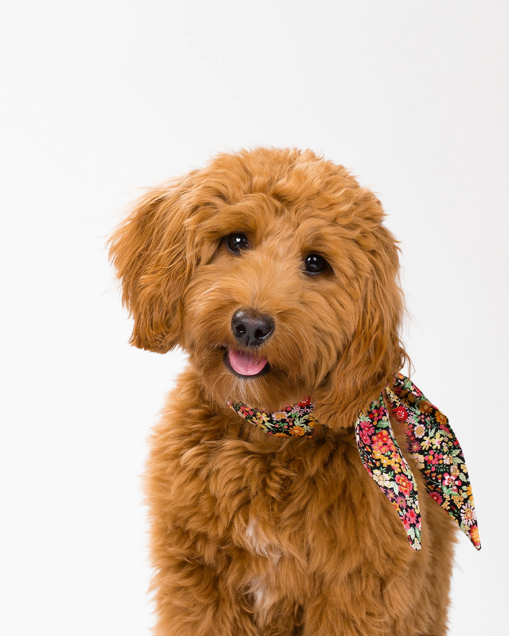 CLASSIC NECKTIE