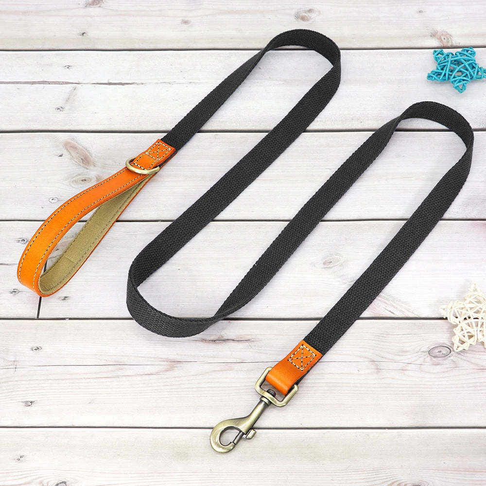 Classic Pet Collar & Leash Set