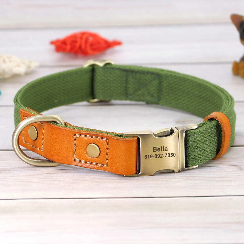 Classic Pet Collar & Leash Set