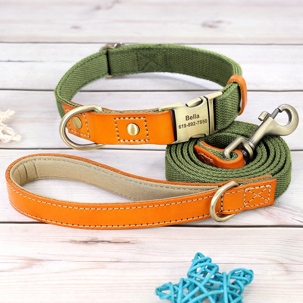 Classic Pet Collar & Leash Set
