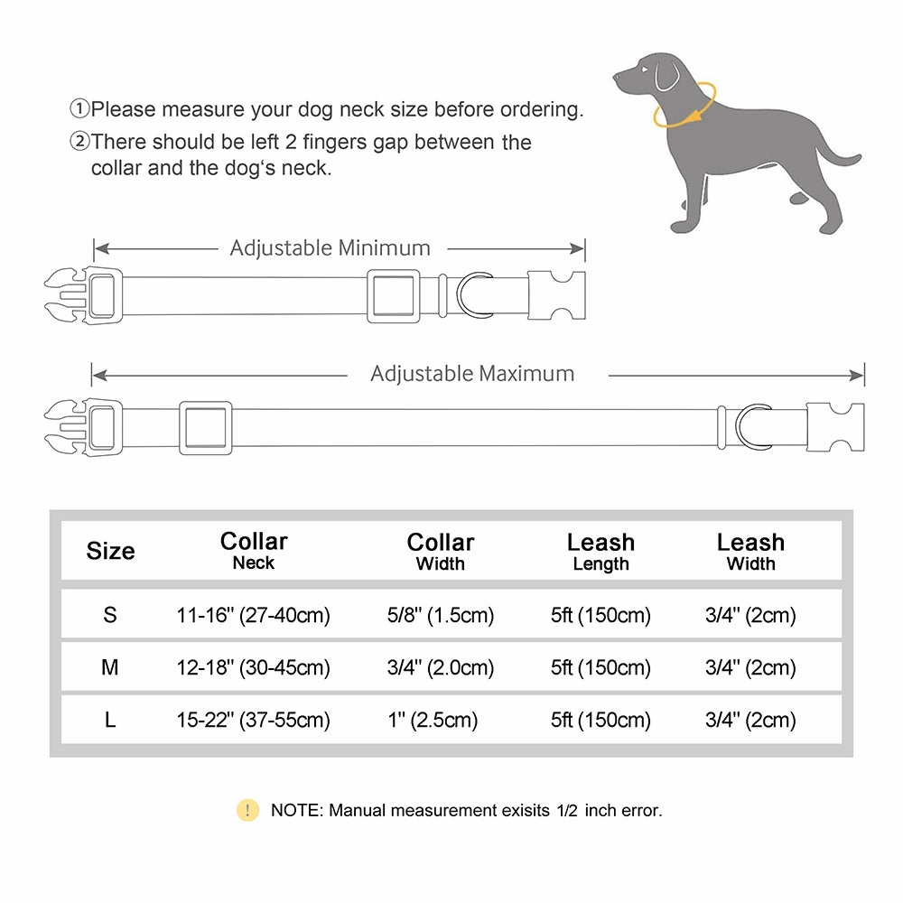 Classic Pet Collar & Leash Set