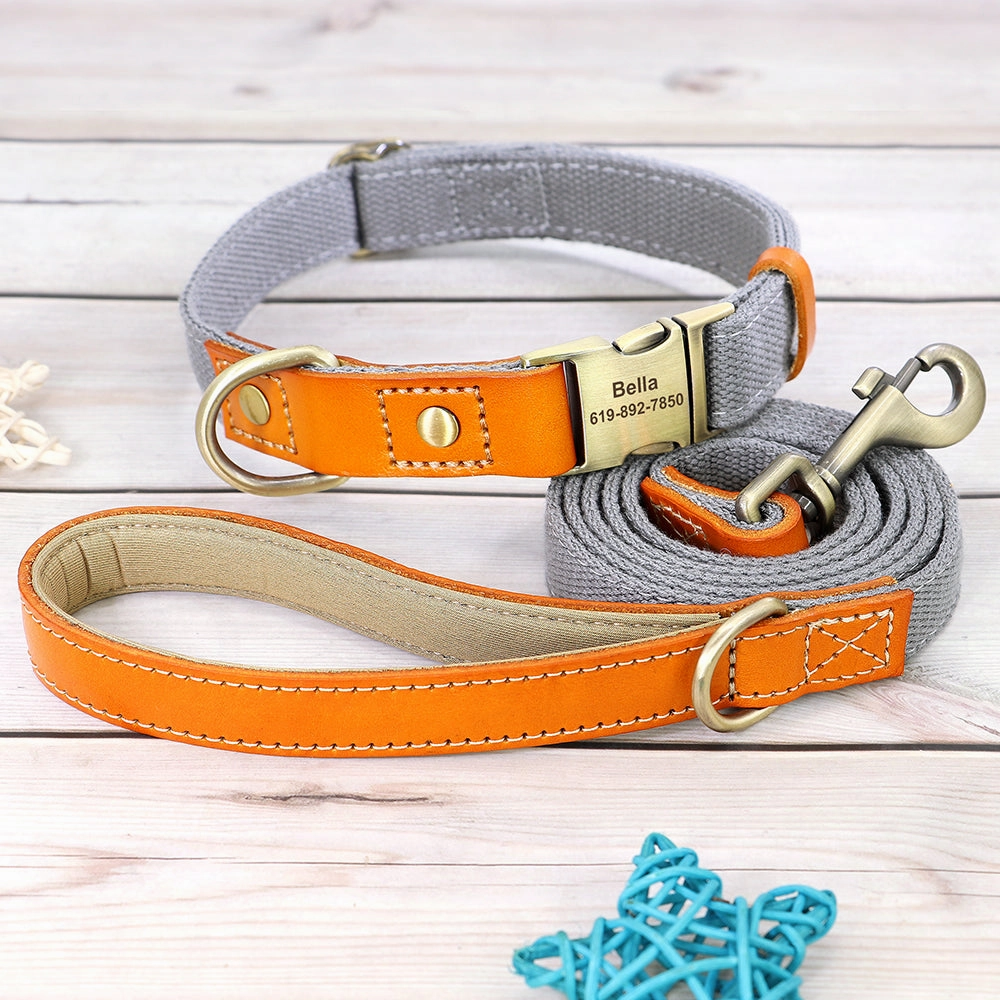 Classic Pet Collar & Leash Set