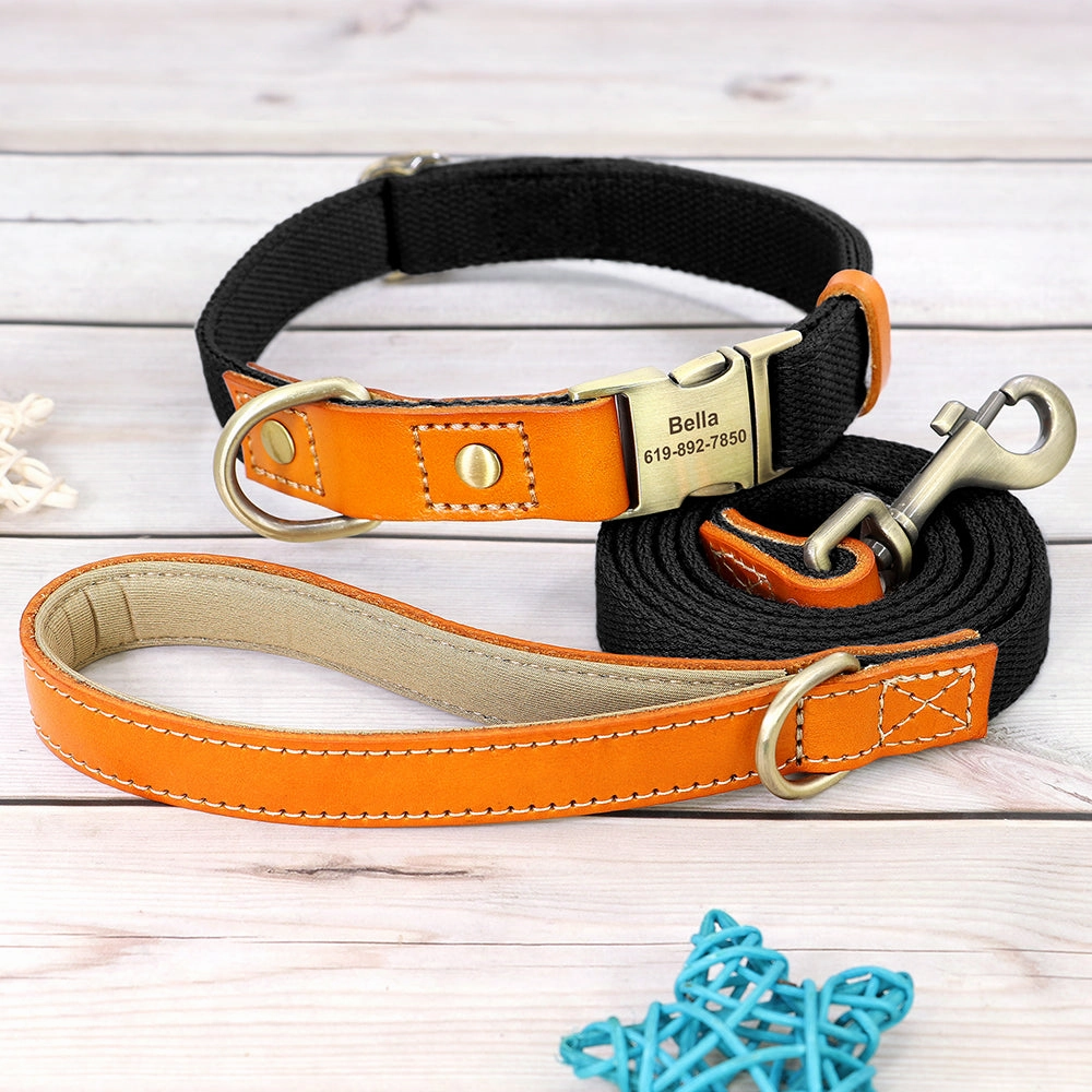 Classic Pet Collar & Leash Set