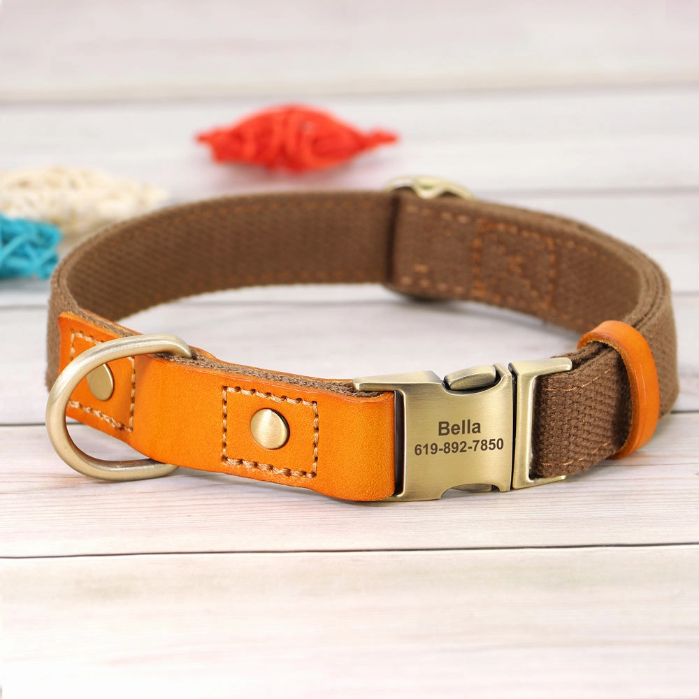 Classic Pet Collar & Leash Set
