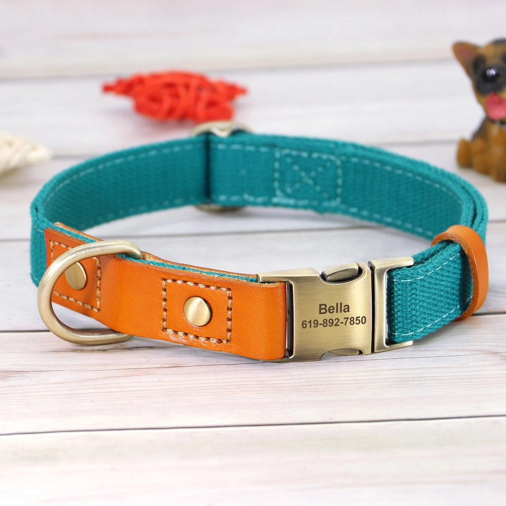 Classic Pet Collar & Leash Set