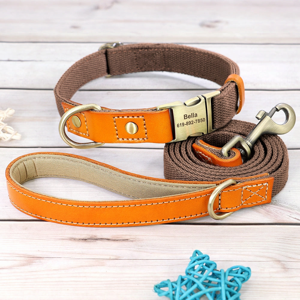 Classic Pet Collar & Leash Set