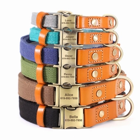 Classic Pet Collar & Leash Set