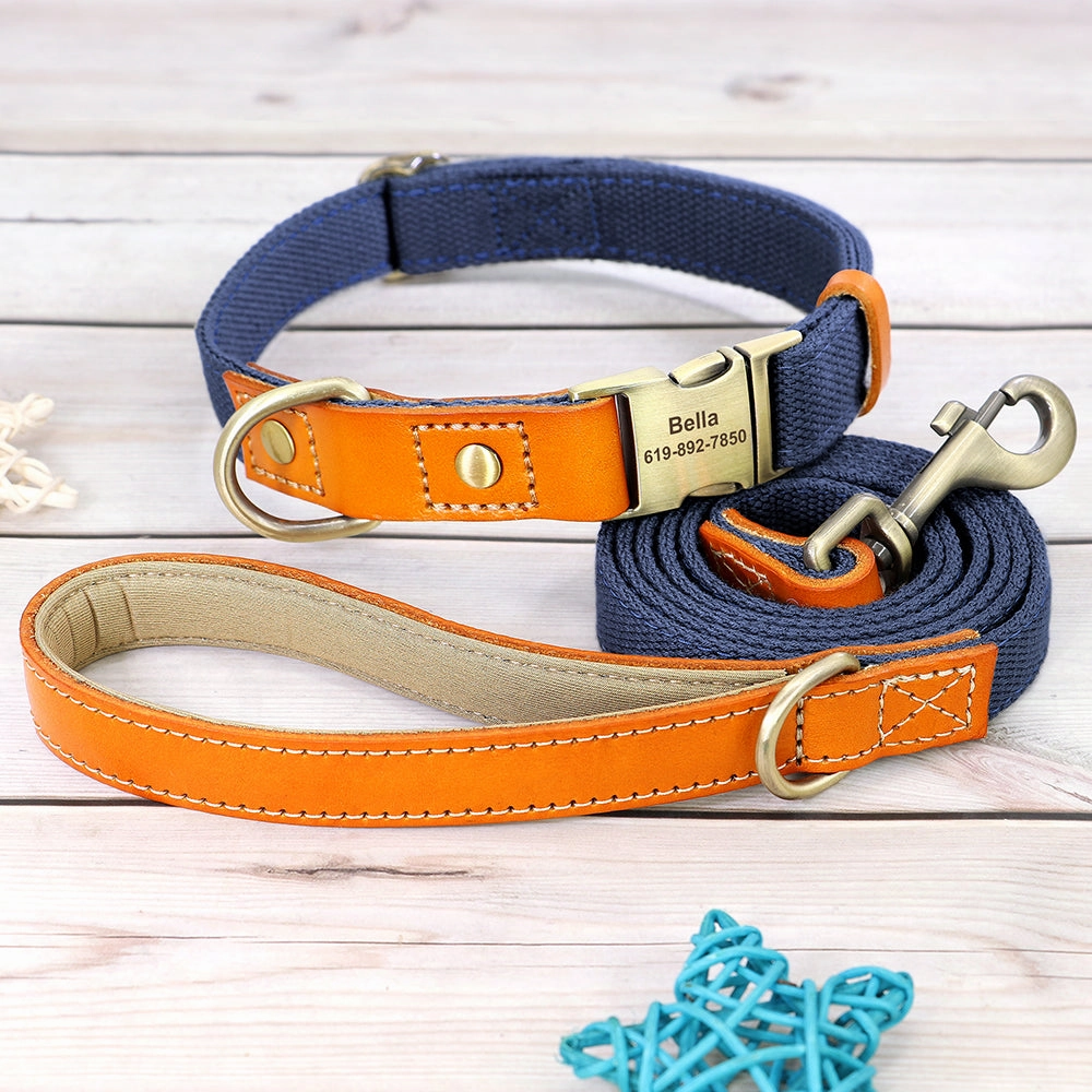 Classic Pet Collar & Leash Set