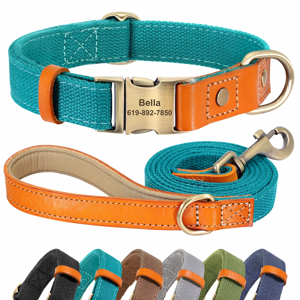 Classic Pet Collar & Leash Set