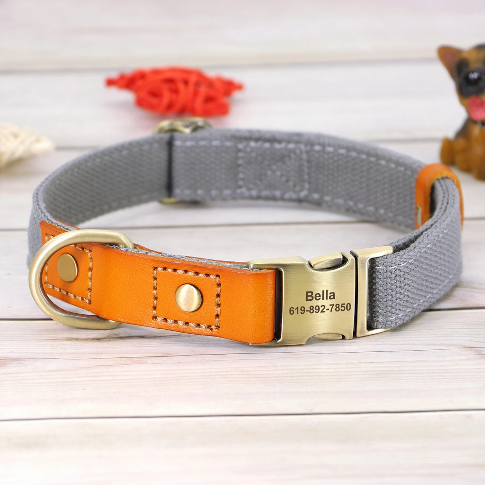 Classic Pet Collar & Leash Set