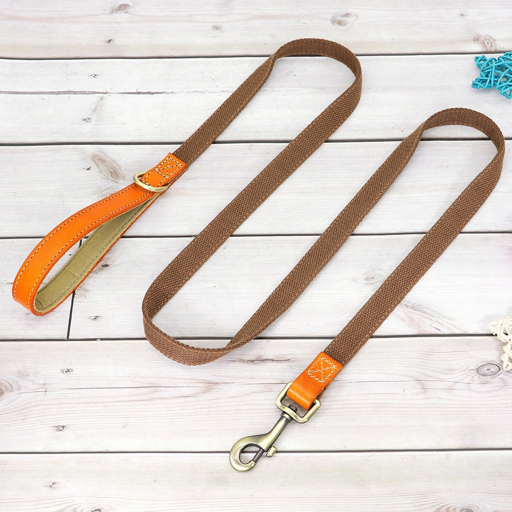 Classic Pet Collar & Leash Set
