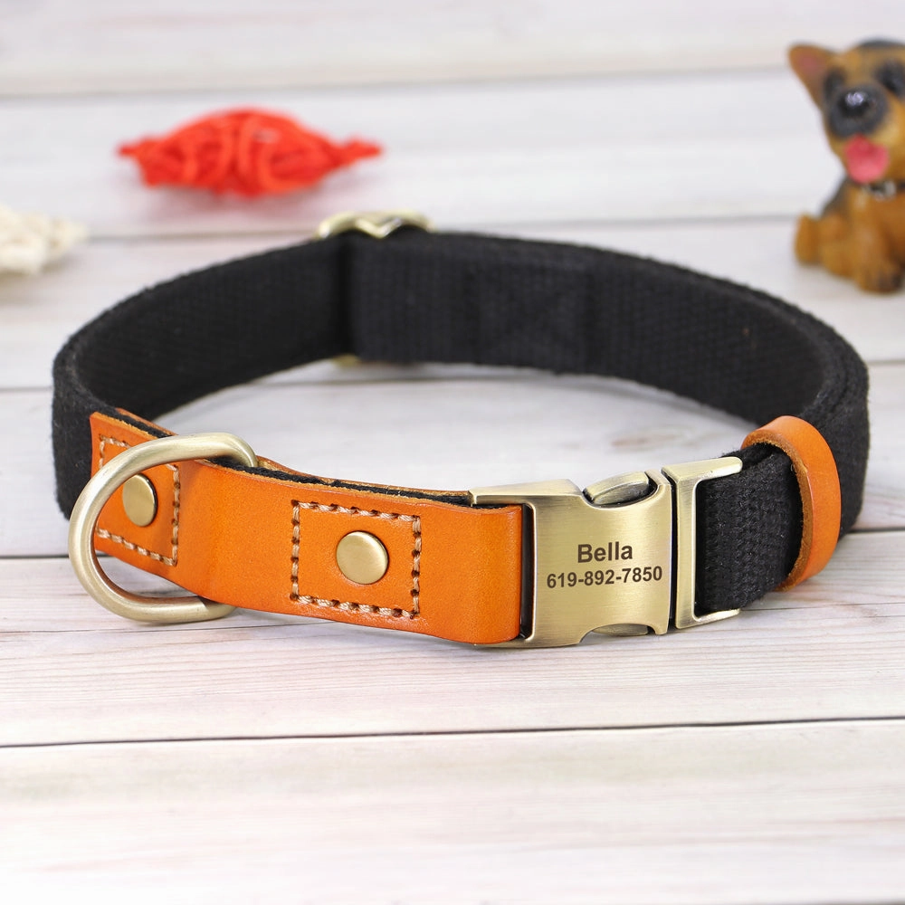 Classic Pet Collar & Leash Set