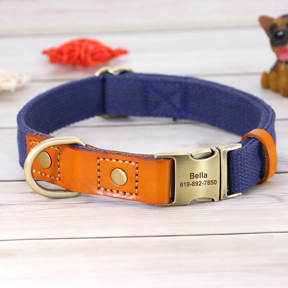 Classic Pet Collar & Leash Set