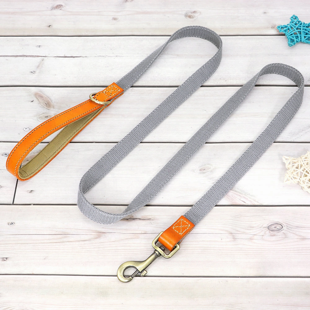 Classic Pet Collar & Leash Set