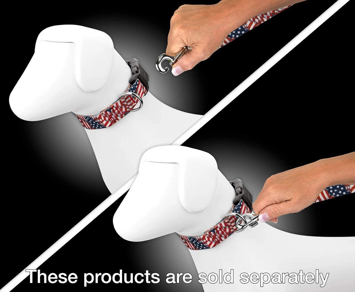 Country Brook Design - 1 Inch Patriotic Tribute Leash - Americana Collection with 6 Patriotic Designs (6 Foot)