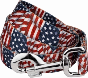 Country Brook Design - 1 Inch Patriotic Tribute Leash - Americana Collection with 6 Patriotic Designs (6 Foot)