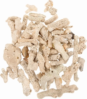 Crushed Coral Filter for Aquarium/Fish Tank - Freshwater Aquarium Ph Aquarium Bio Filter Media Bag Media Reusable Aquarium Filter (500g)