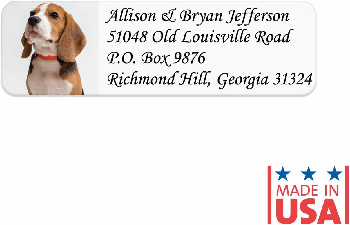 Custom Image Upload Italic Rolled Address Labels / 500 Personalized Return Address Labels/Designer Address Stickers in Elegant Plastic Dispenser