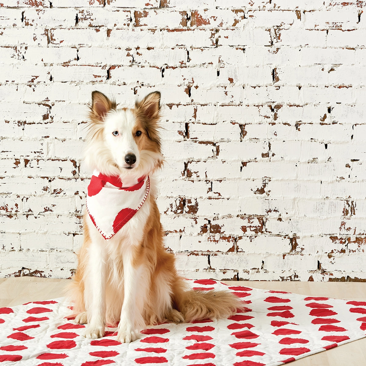 Dot Pet Quilt