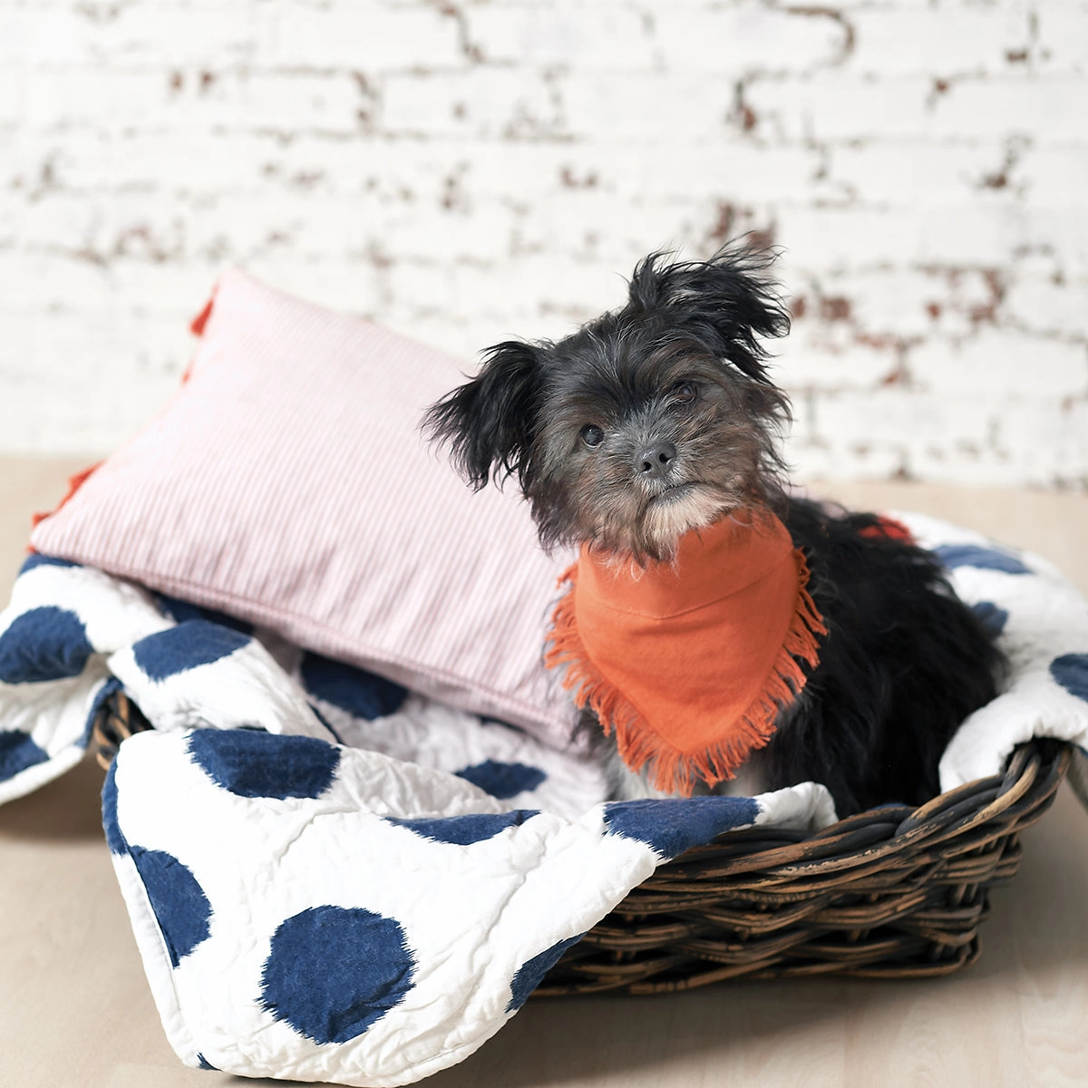 Dot Pet Quilt