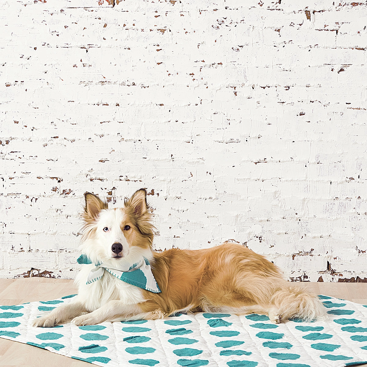 Dot Pet Quilt