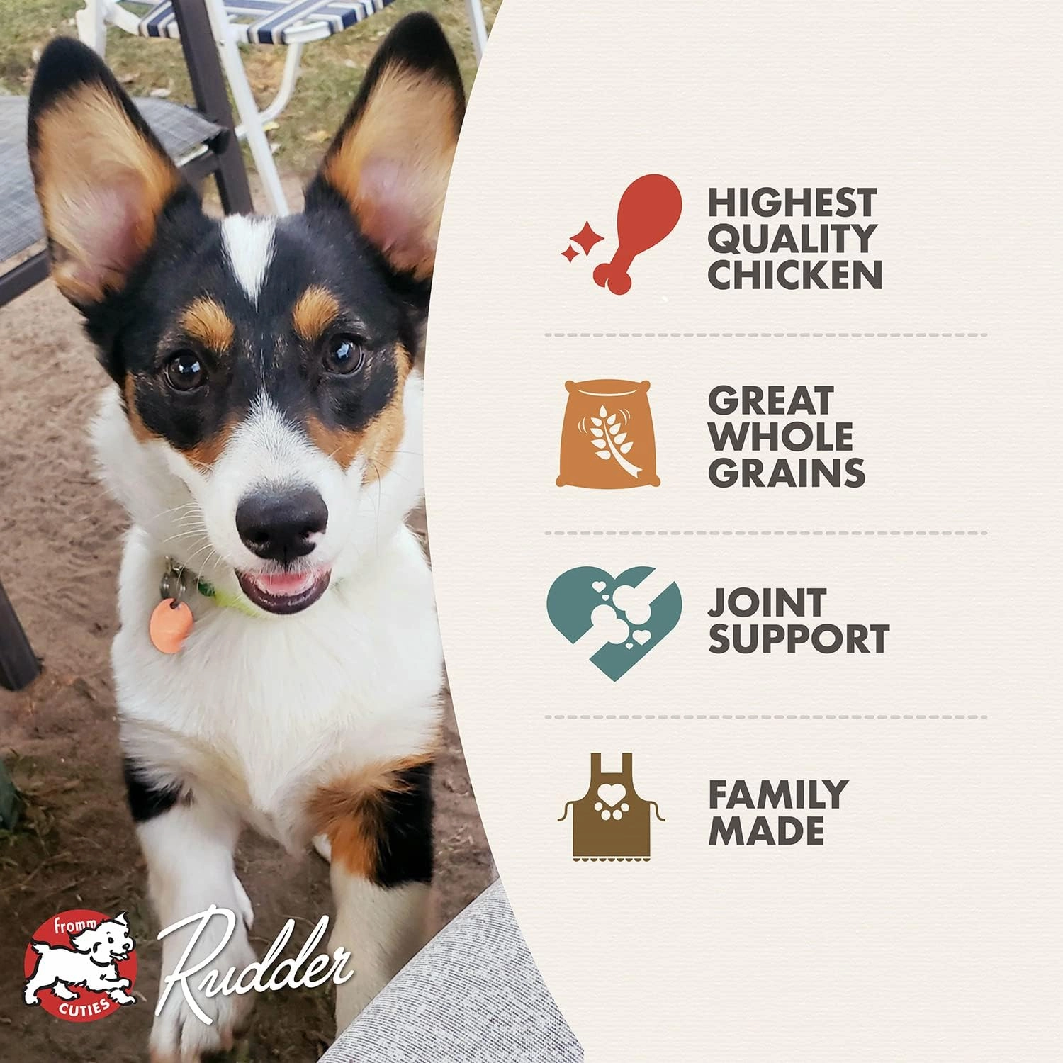 Fromm Classic Puppy Dog Food - Premium Dry Puppy Food for Large, Medium, & Small Breeds - Chicken Recipe - 30 lb
