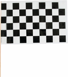 Fun Express - Plastic Checkered Racing Flags for Party - Perfect for Racing Theme Parties Events & Celebrations - Durable Flags Event Deco Themed Parties & Special Occasions - Black/White - 12 Pieces