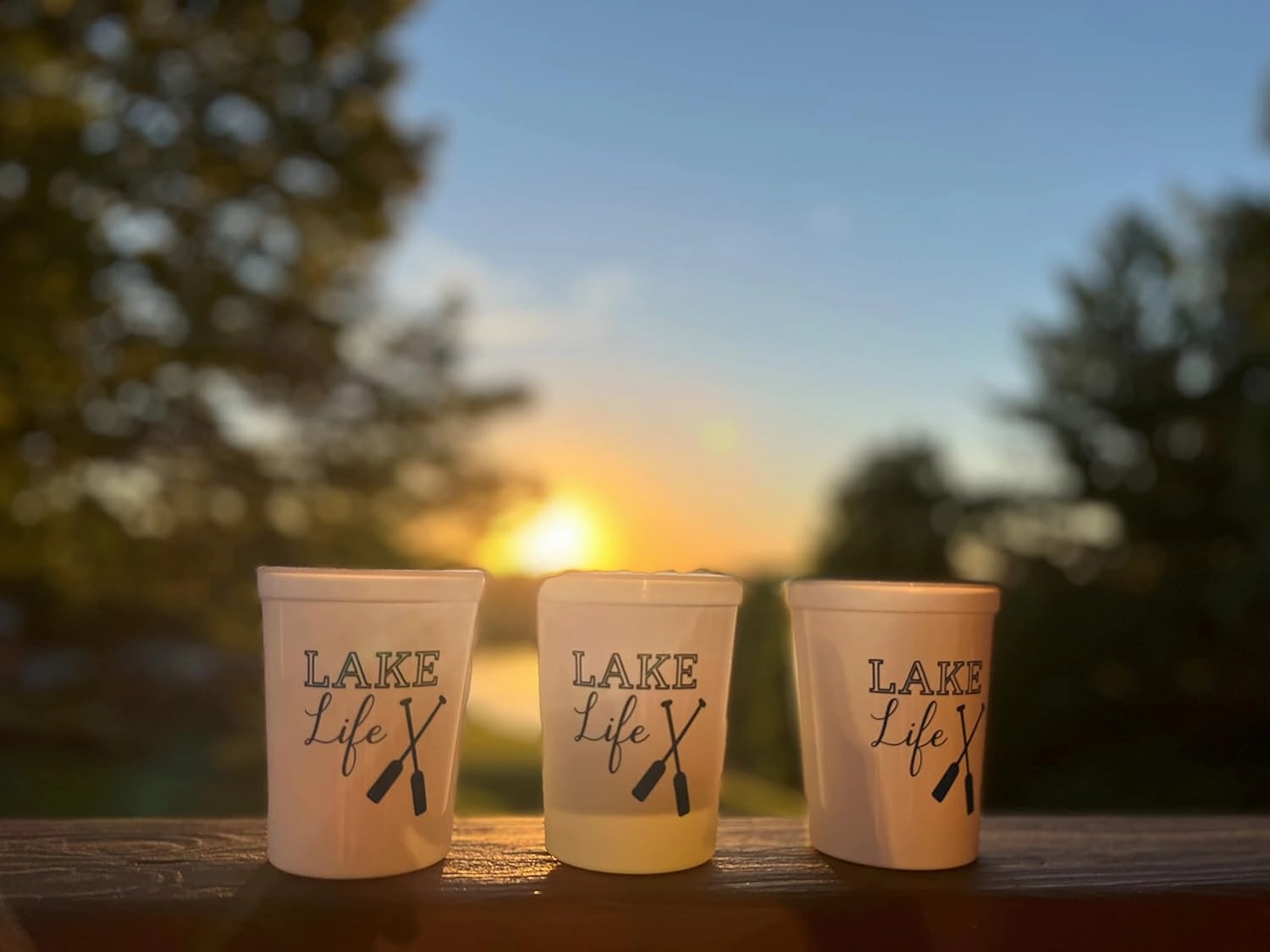 Funky Junque Girls Weekend Lake Cups with Fun Lake Sayings, 16 Oz Durable Plastic, Dishwasher Safe - 12 Lake Life Cups (White)