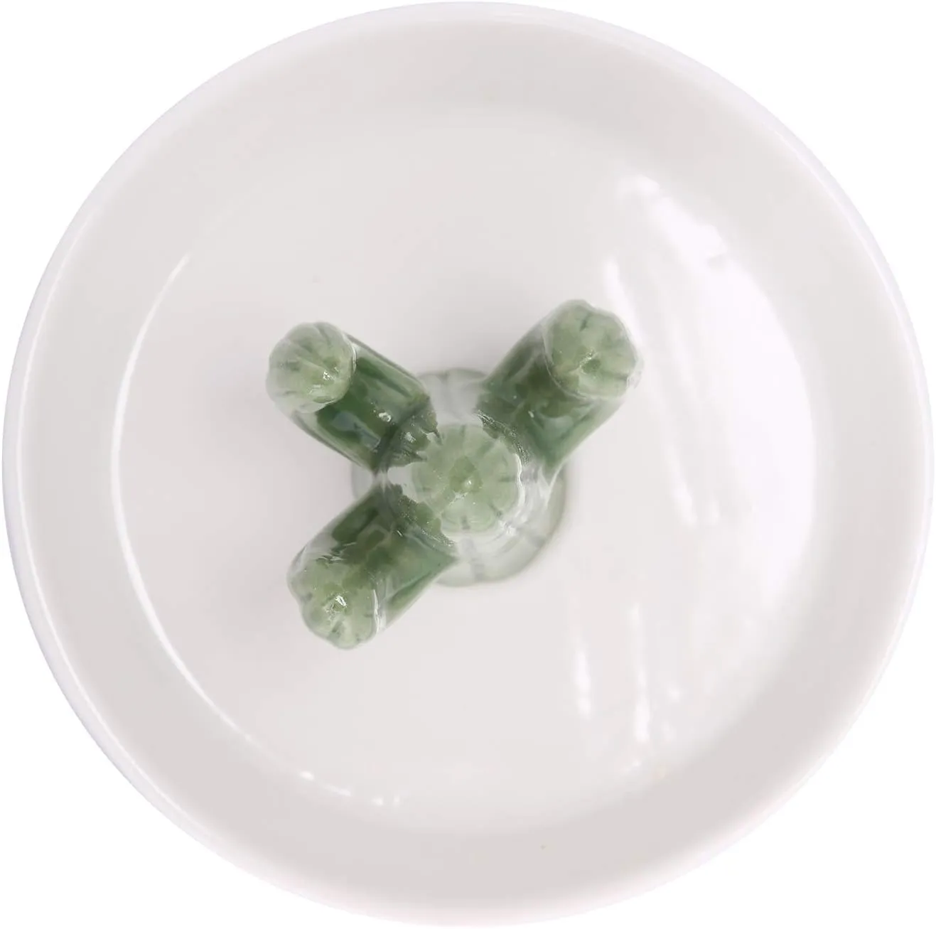 HOME SMILE Ceramic Cactus Ring Holder with Derorative White Dish for Jewelry,Christmas Birthday Gifts for Women