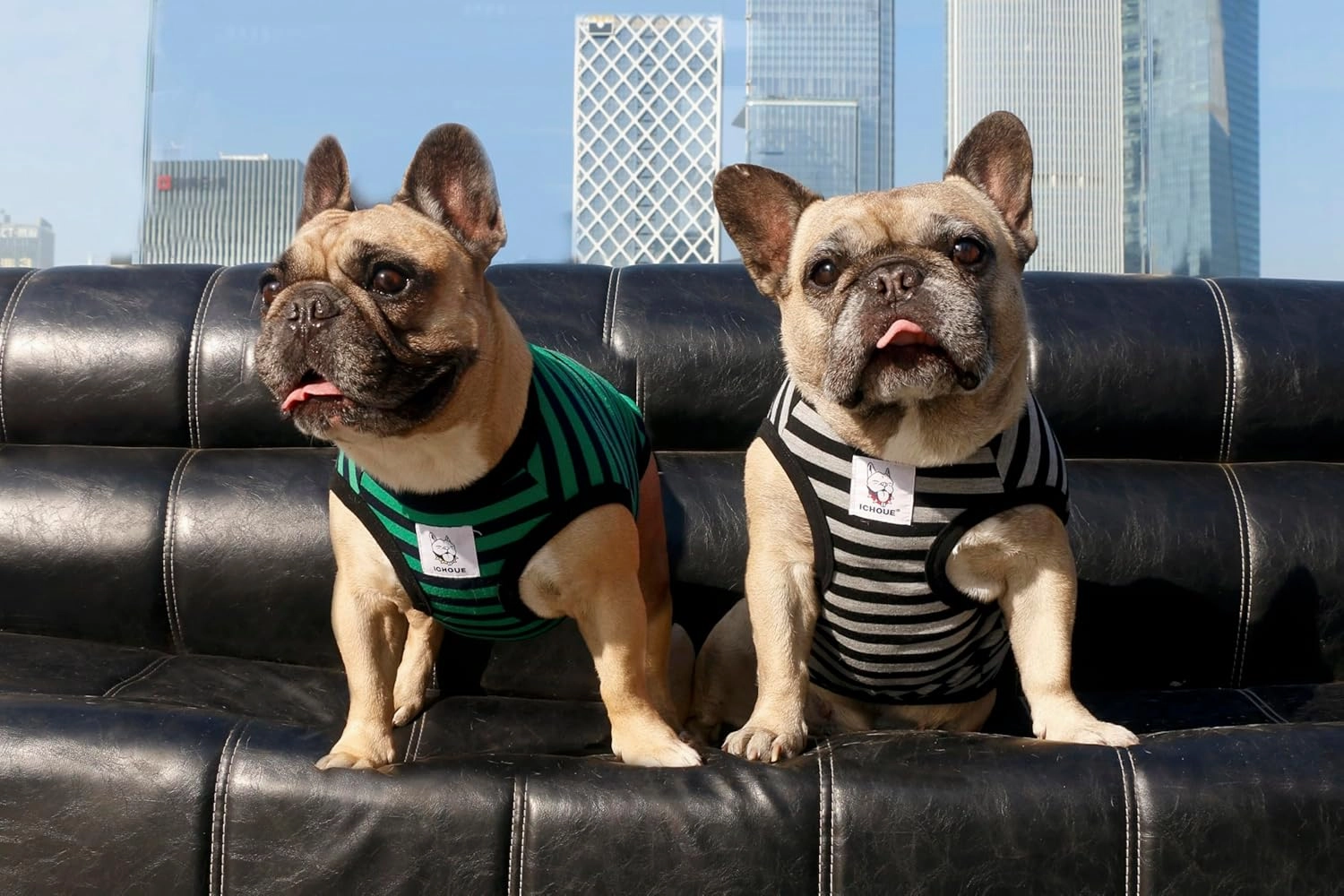 iChoue 2pcs French Bulldog Striped Shirts 100% Breathable Cotton Tank Tops Vests Clothes for Frenchie Dogs, Black and Green Stripes, Medium