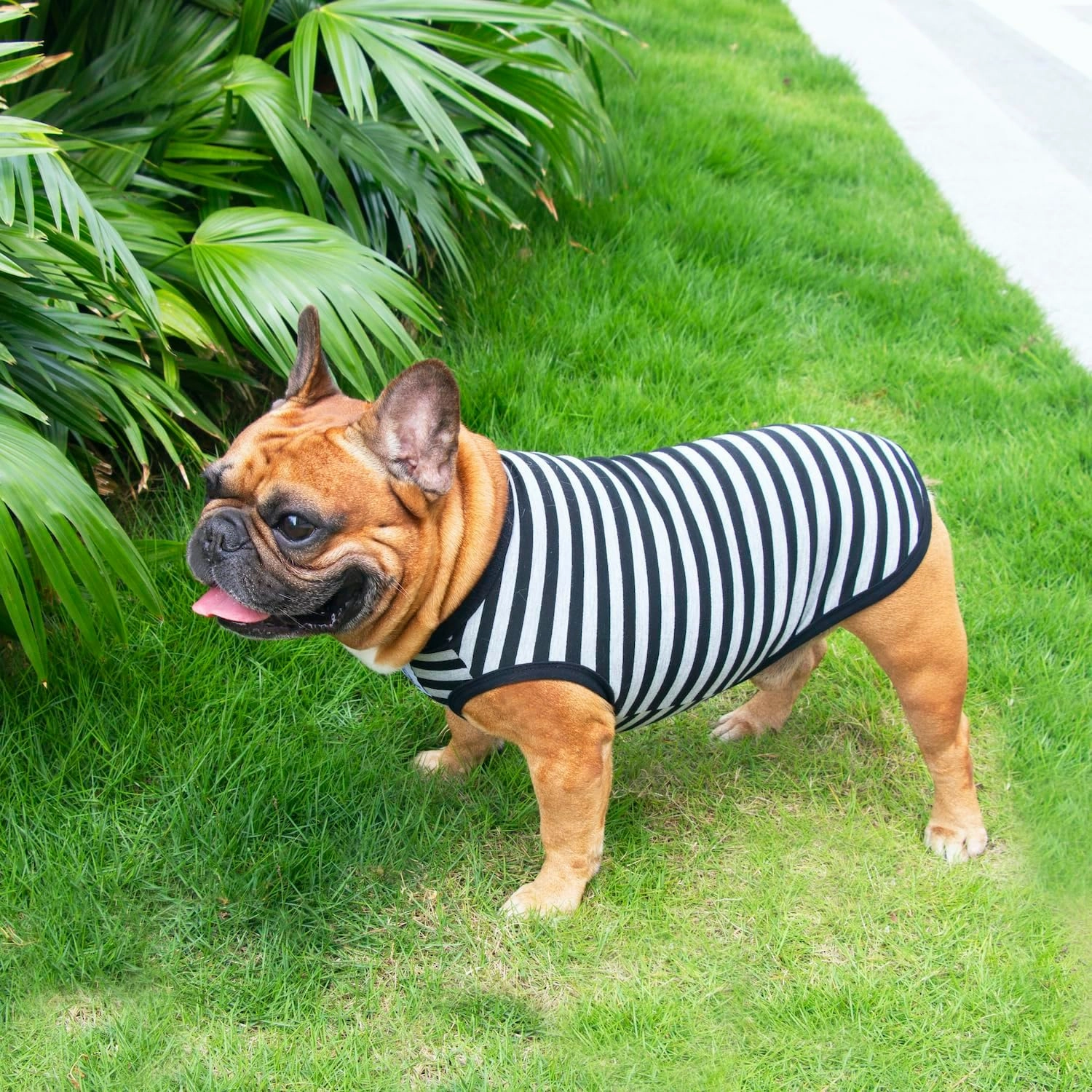 iChoue 3pcs French Bulldog Striped Shirts 100% Breathable Cotton Tank Tops Vests Clothes for Frenchie Dogs, Black Green Red Stripes, Medium