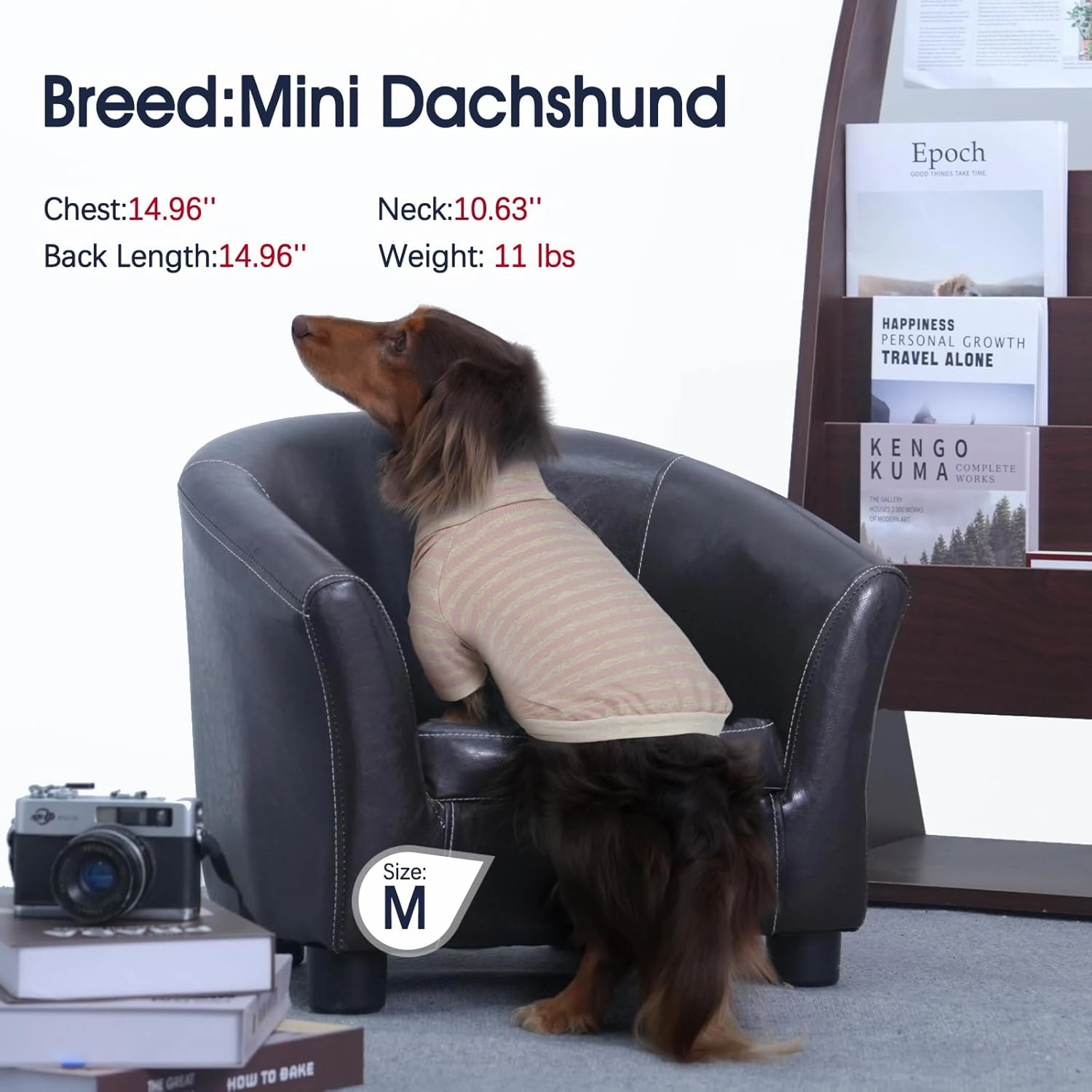IECOii 2 Packs|4XLarge|High Neck Breathable Dog Pullover Shirt with Sleeve|Quick Dry Daily Wear|Soft Pjs Homewear,Pet Top Underwear|Full Belly Coverage Sweatshirt Great Dane,Pink Stripe Apricot