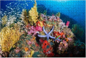 Jigsaw Puzzles 1000 Pieces for Adults Kids - Tropical fish swimming around a healthy colorful coral reef Large Puzzles Pieces Fit Together Educational Intellectual Fun Game