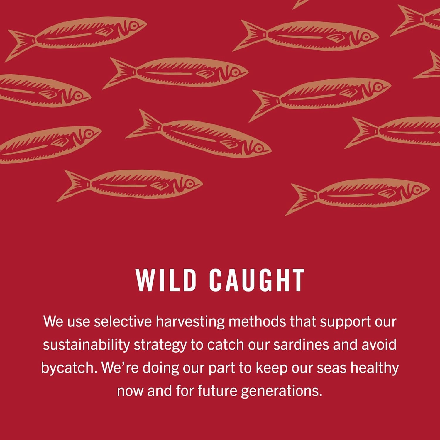 King Oscar Wild Caught Sardines in Extra Virgin Olive Oil 3.75 Ounce (Pack of 4)