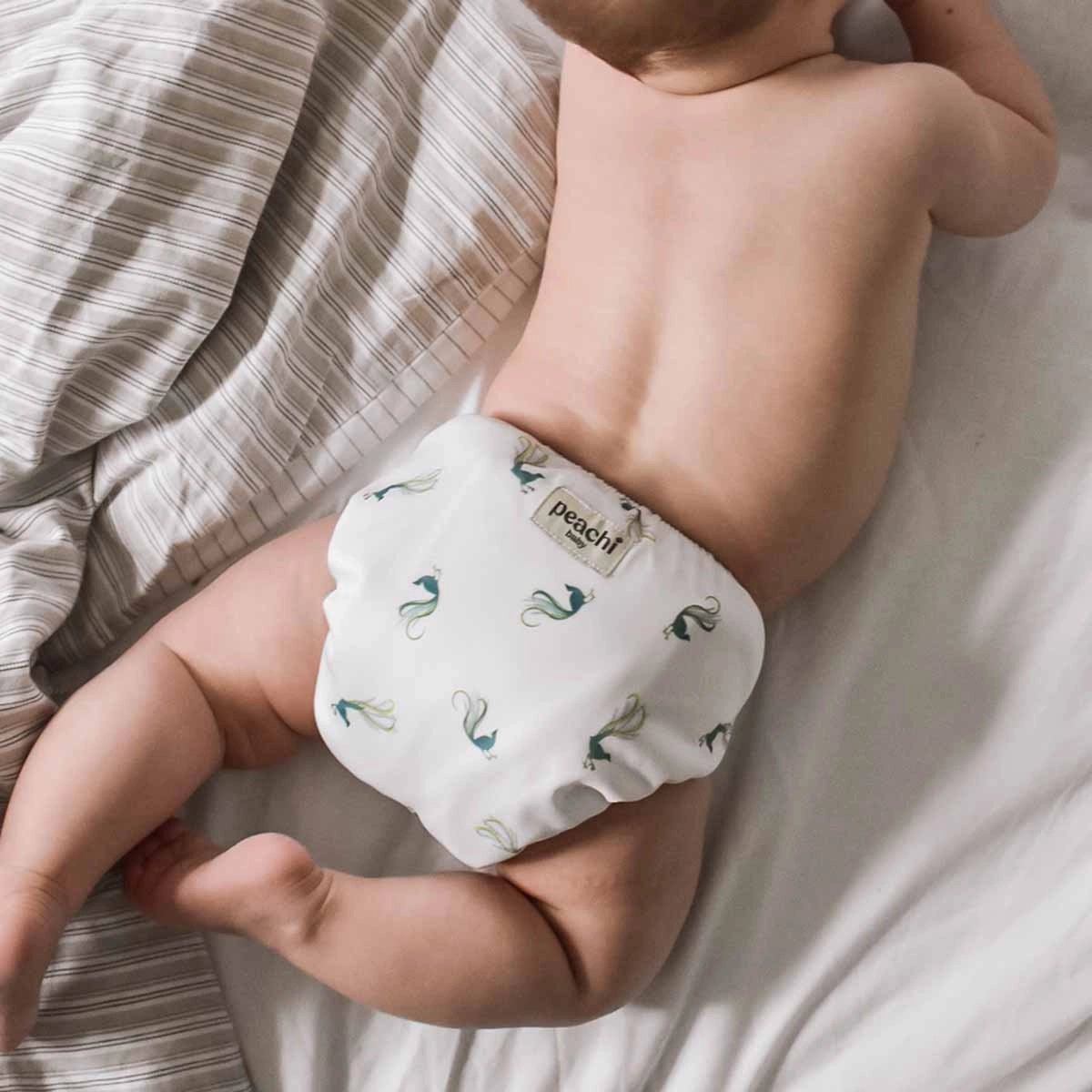 Lyrebird Reusable Nappy Set