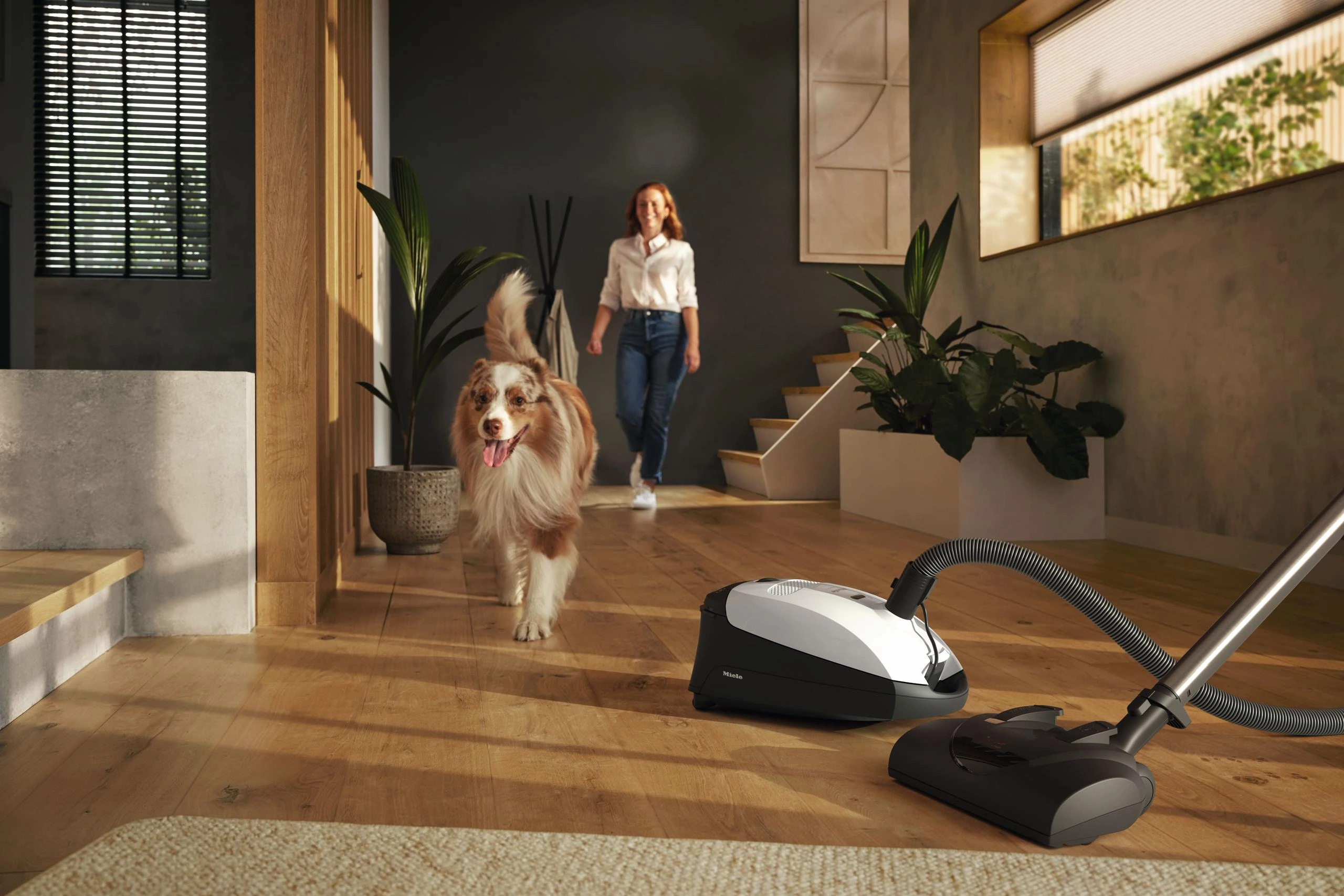 Miele CLASSICC1CATDOGPOWERLINESBBN0LOTUSWHITE Classic C1 Cat & Dog Powerline - Sbbn0 - Canister Vacuum Cleaners With Electrobrush For Thorough Cleaning Of Heavy-Duty Carpeting.