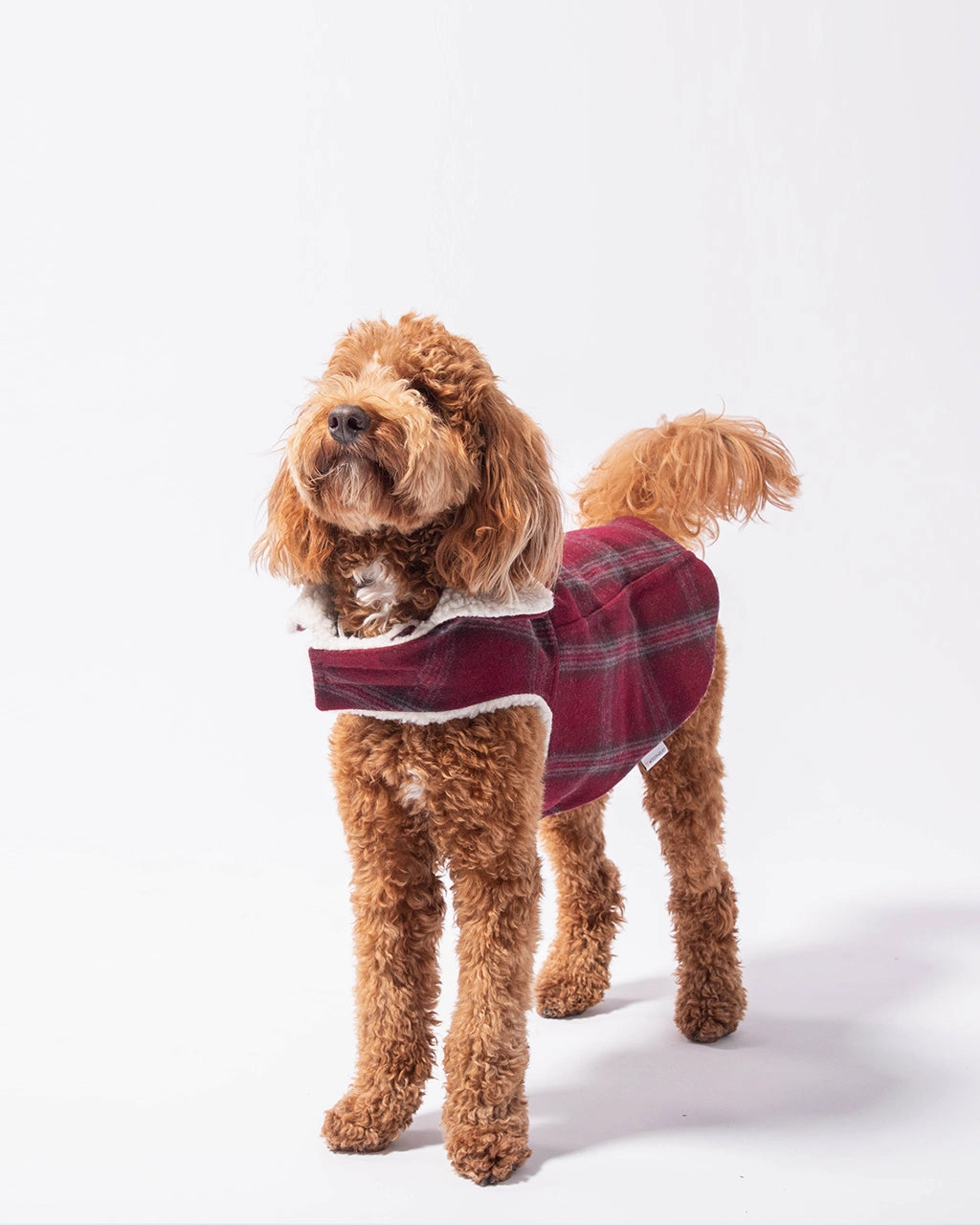 MODERN CLASSIC COAT