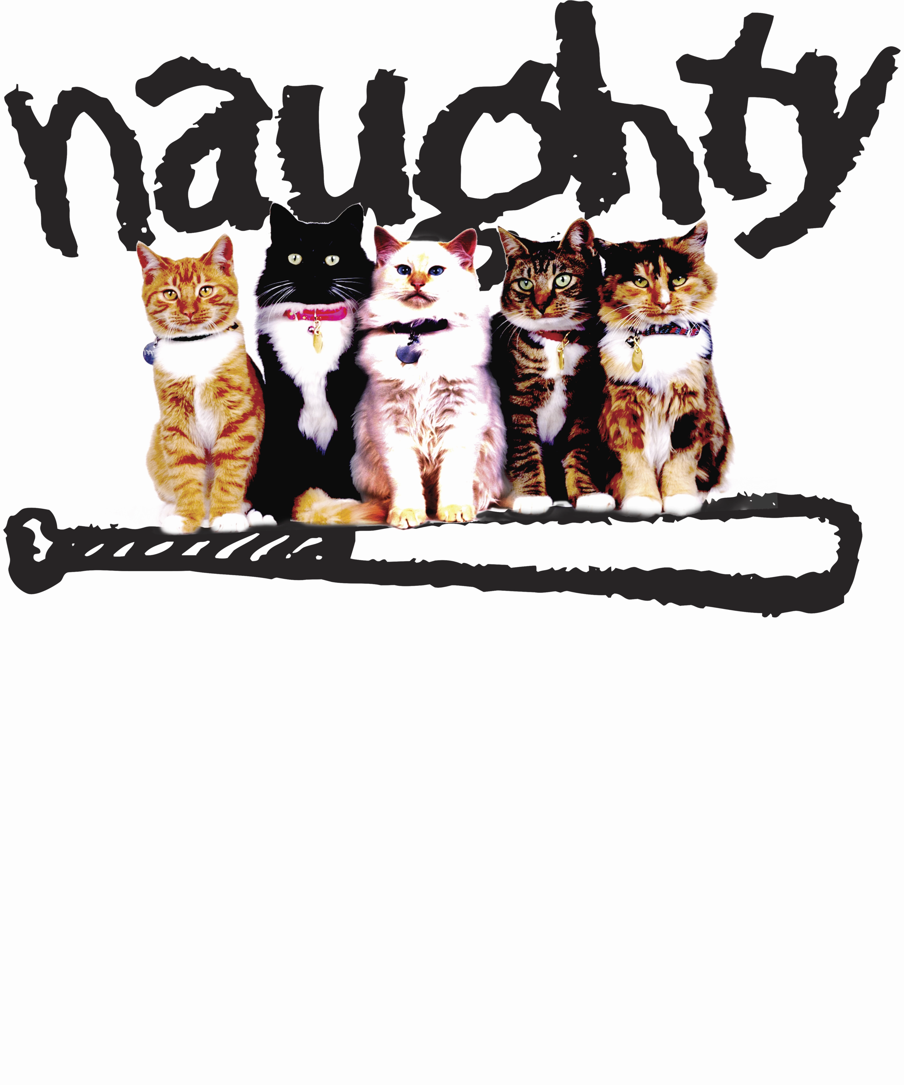 NAUGHTY CATS WOMEN'S SCOOP NECK SWEATSHIRT