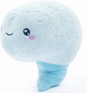 nerdbugs Brain Plush Organ- Love on The Brain- Brain Plush Organ Toy/Get Well Gift/Health Education Toy/Neuroscience or Neurology Plush Toy Organ Gift/Surgeon Gift