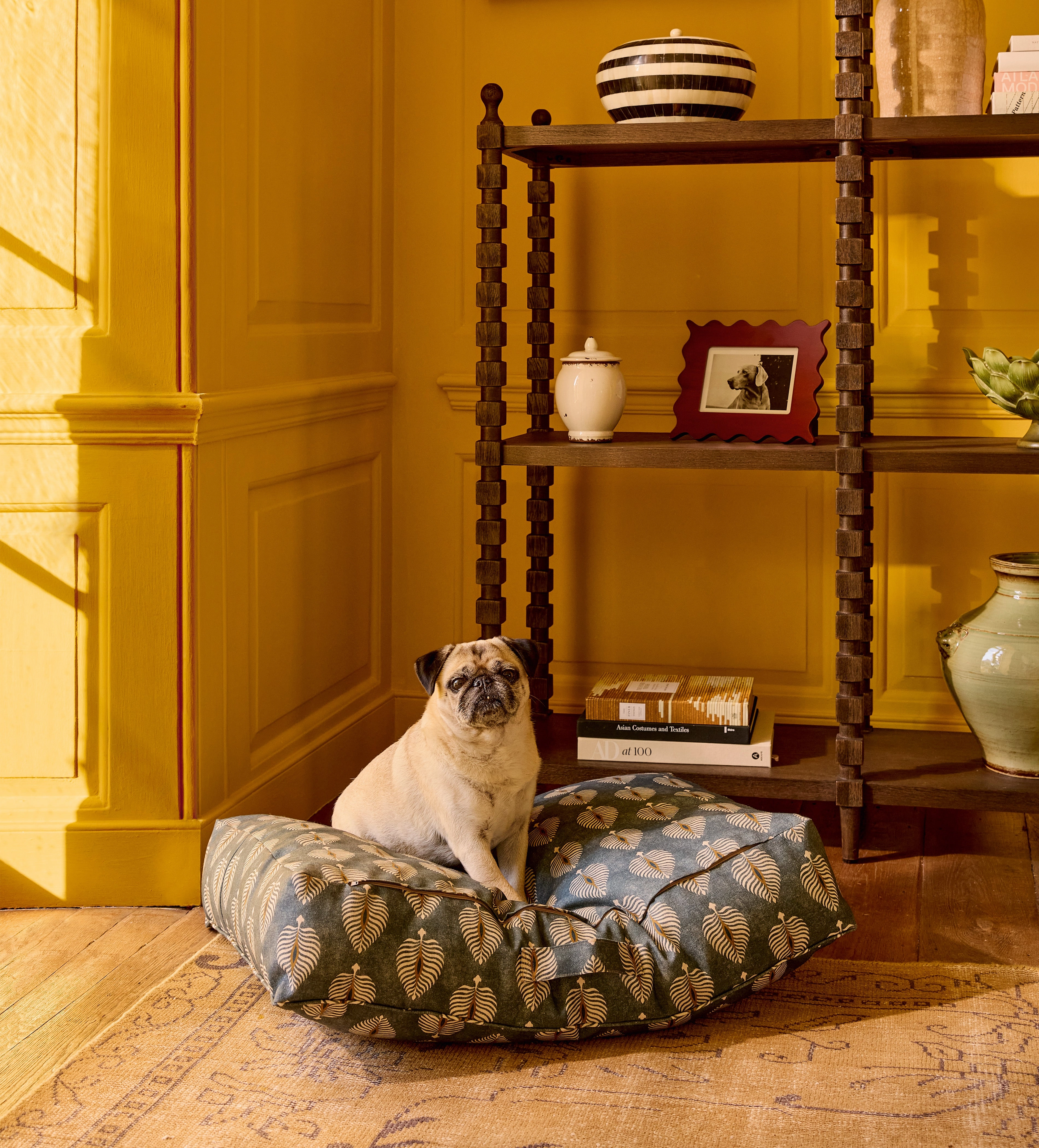 Ocellus Pet Cushion - Medium - Petrol