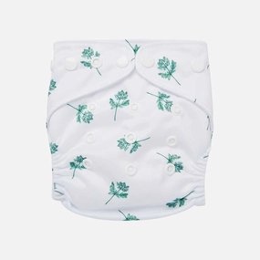 Parsley Reusable Nappy Set