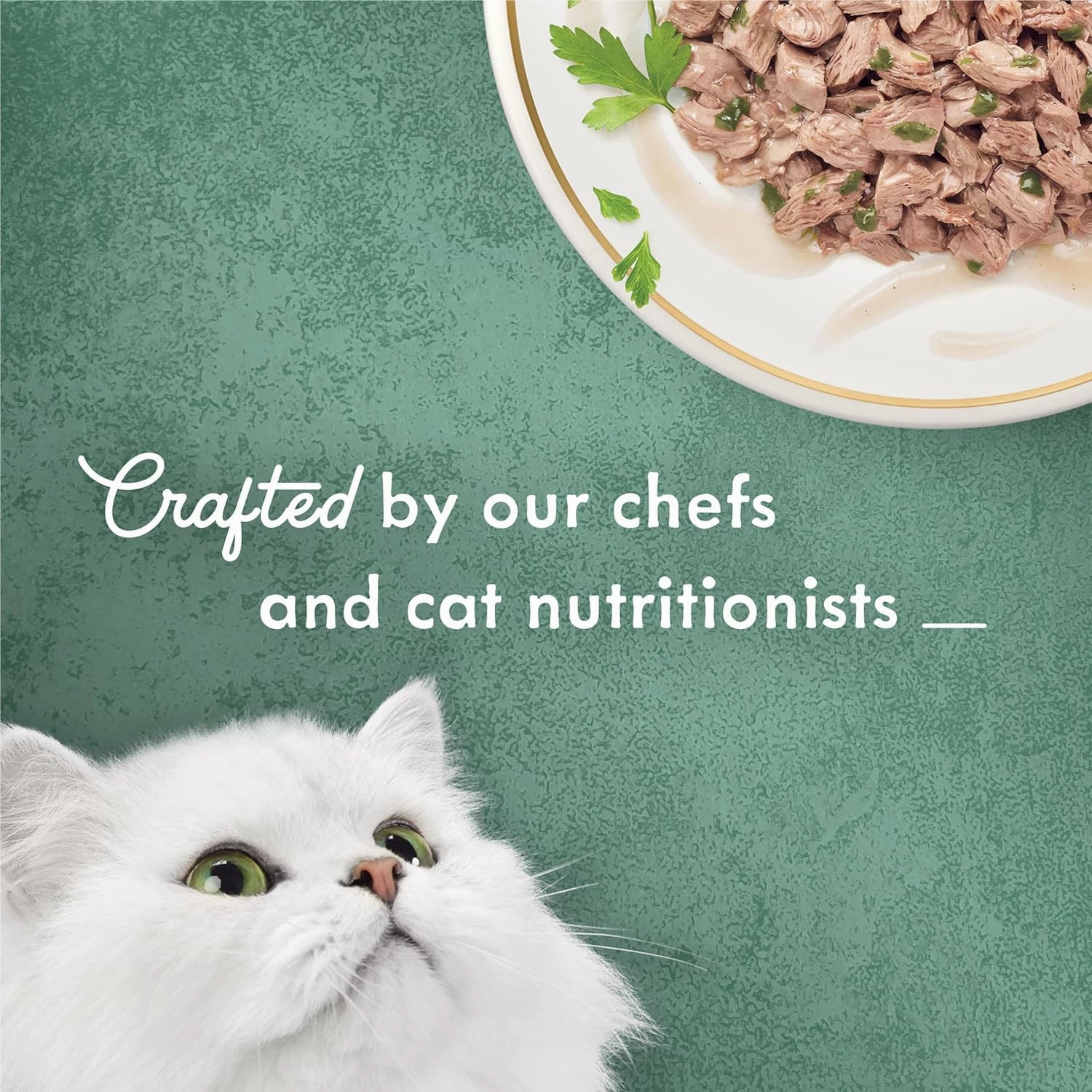 Purina Fancy Feast Wet Cat Food, Medleys Wild Salmon Florentine With Garden Greens in Delicate Sauce - (Pack of 24) 3 oz. Cans